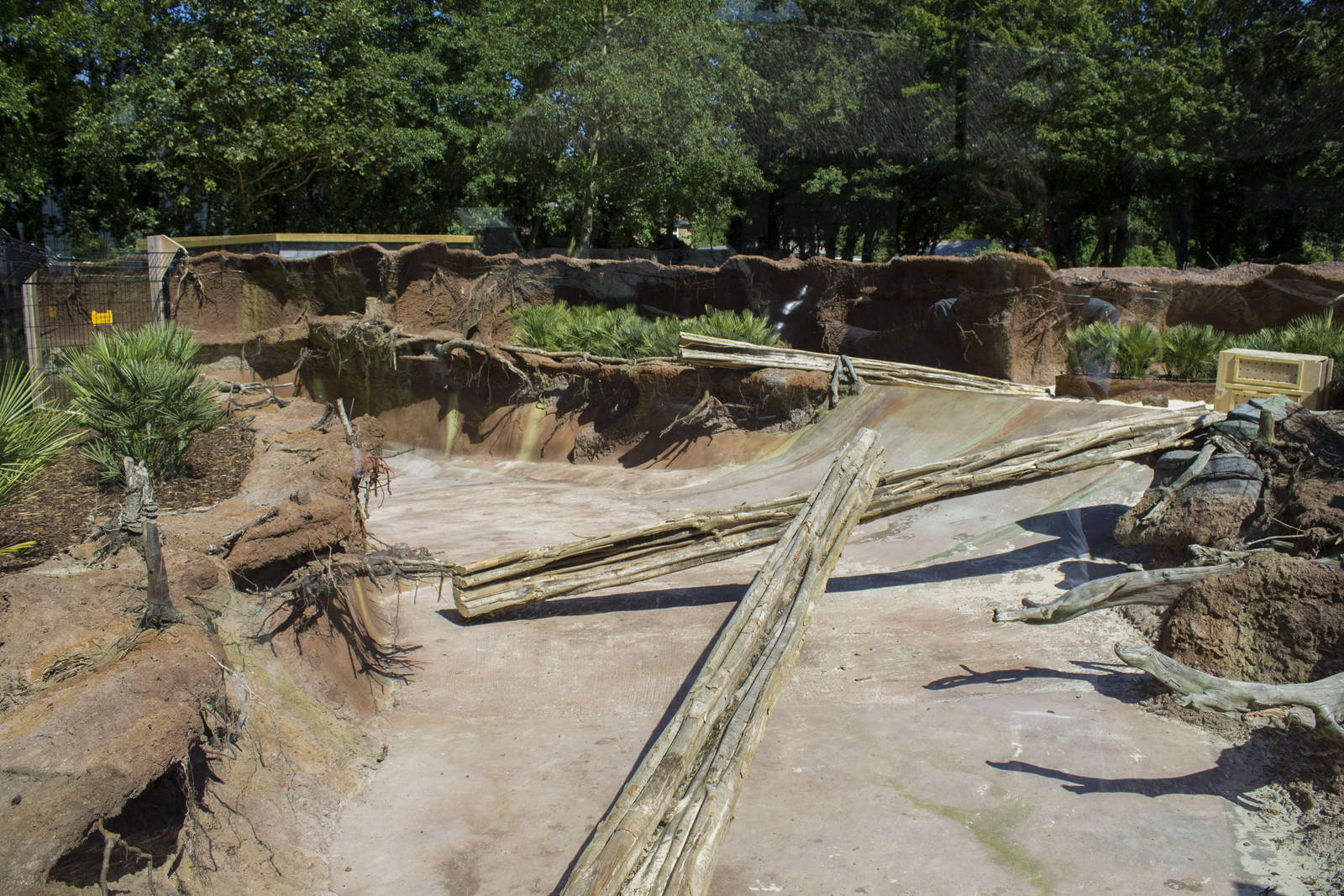 Giant otter enclosure