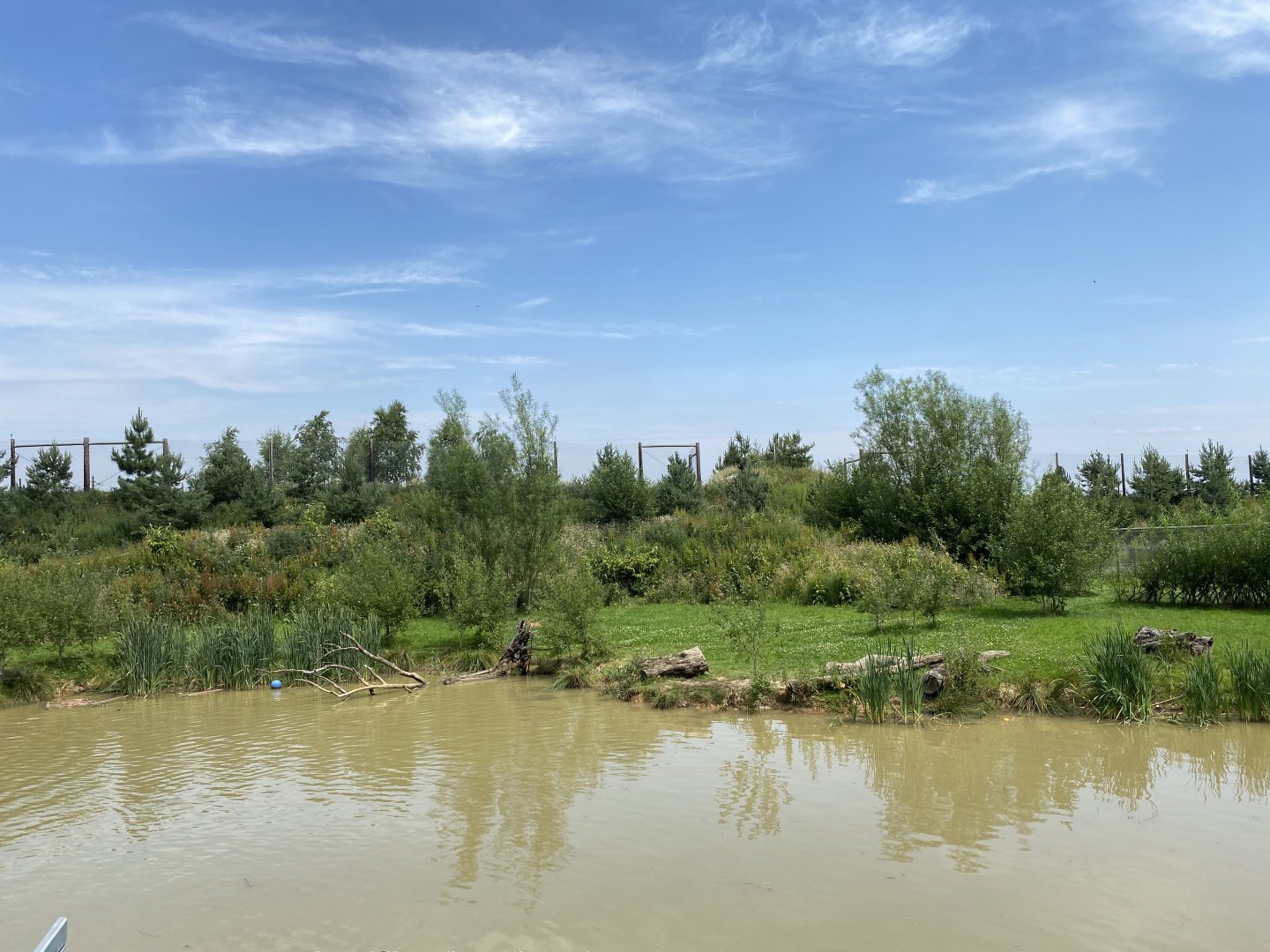 Giant Otter Enclosure