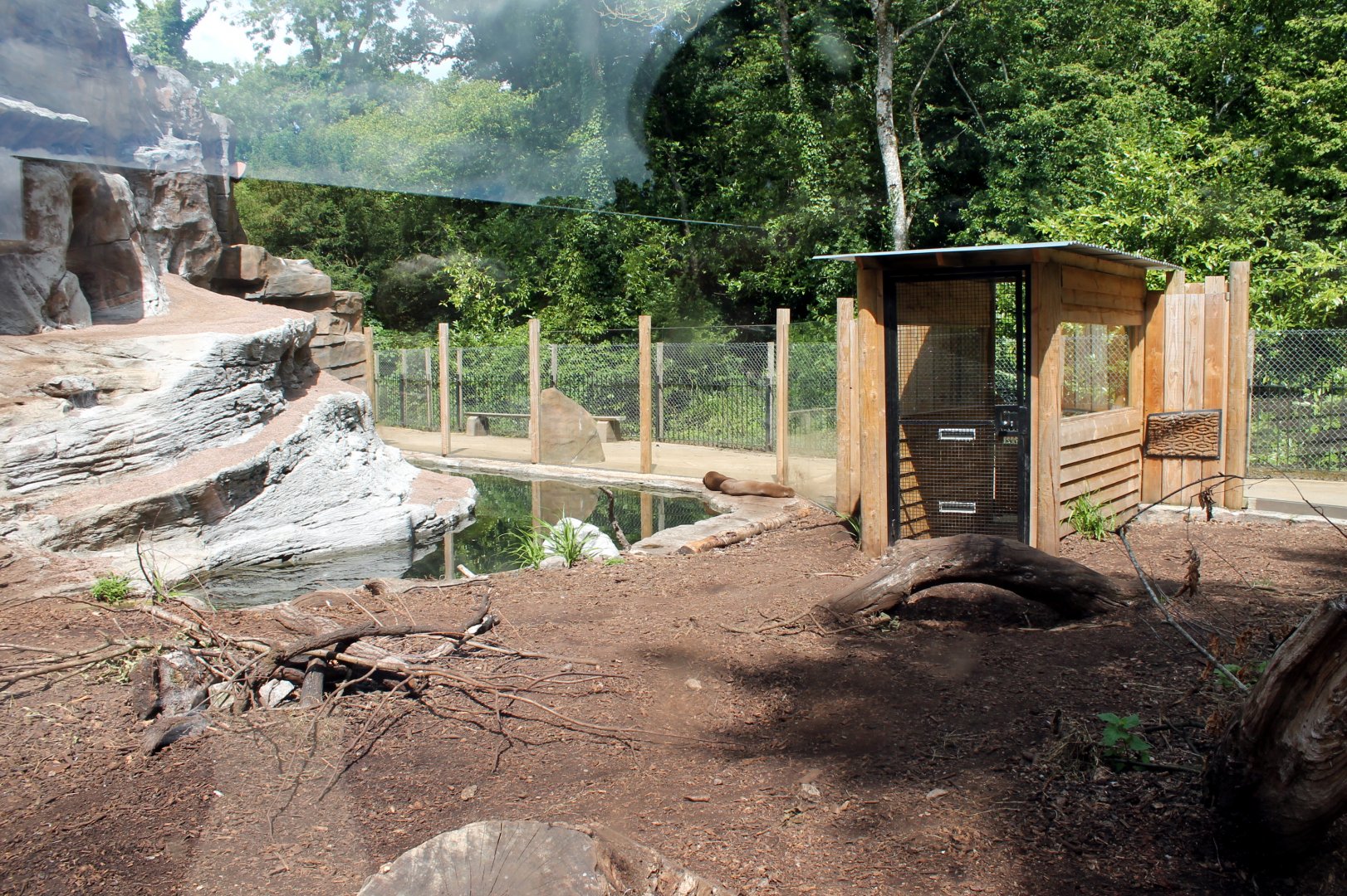 Giant Otter Enclosure