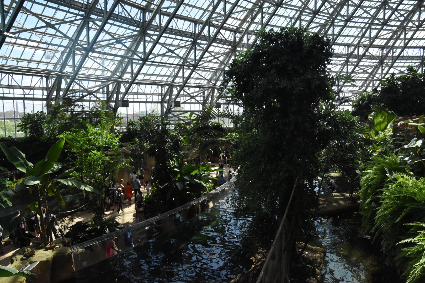 Giant Otter enclosure