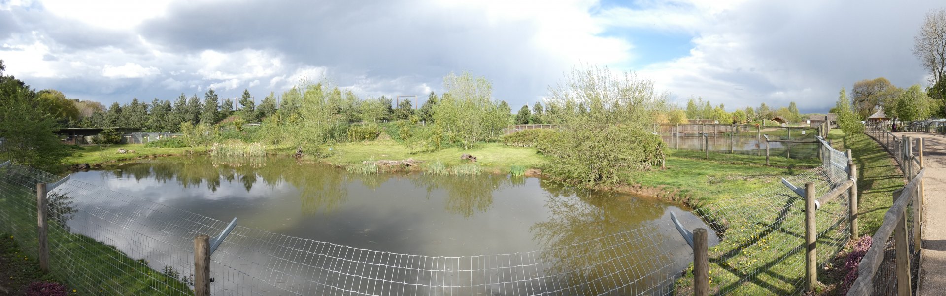 Giant otter enclosure