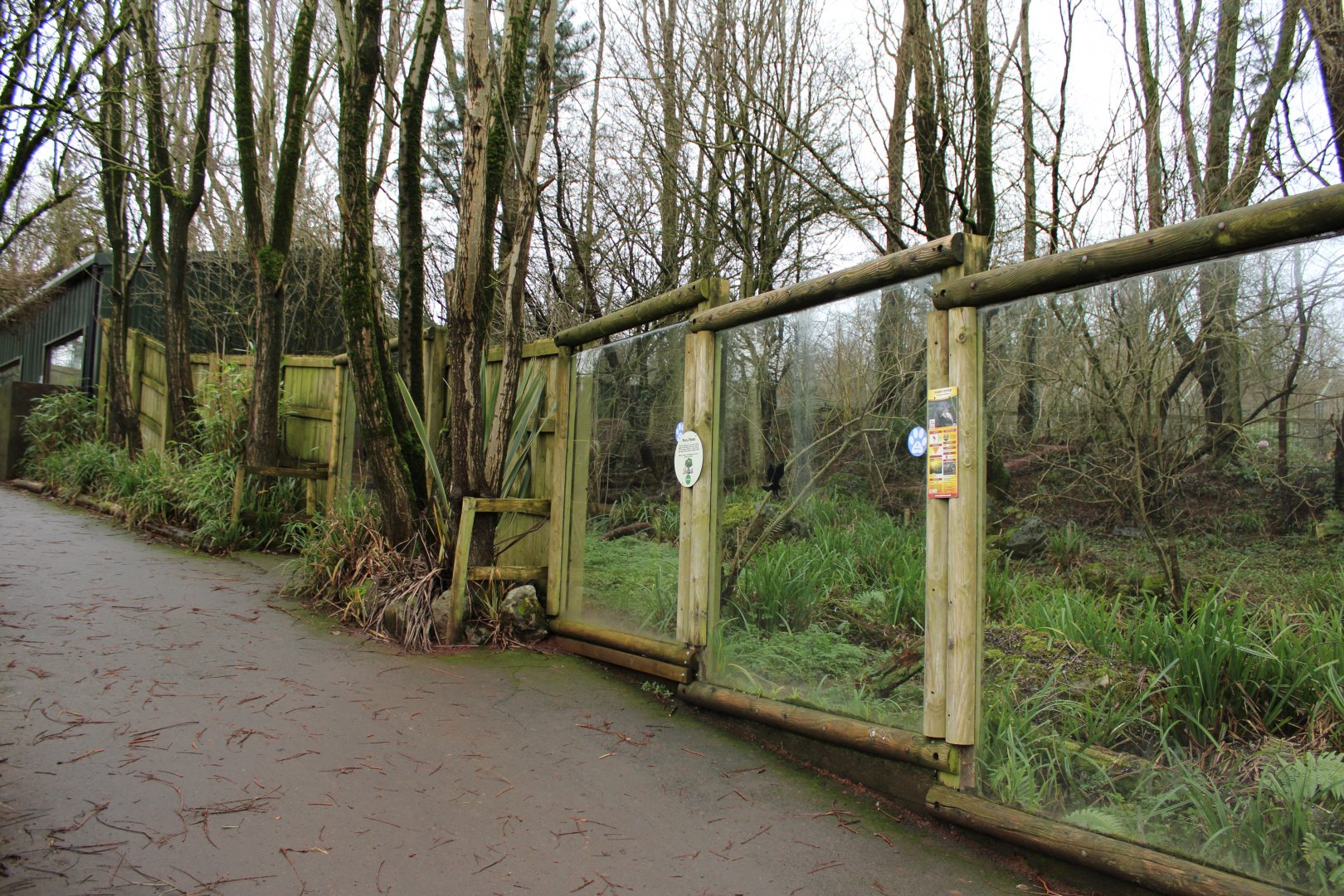 Giant Otter Enclosure