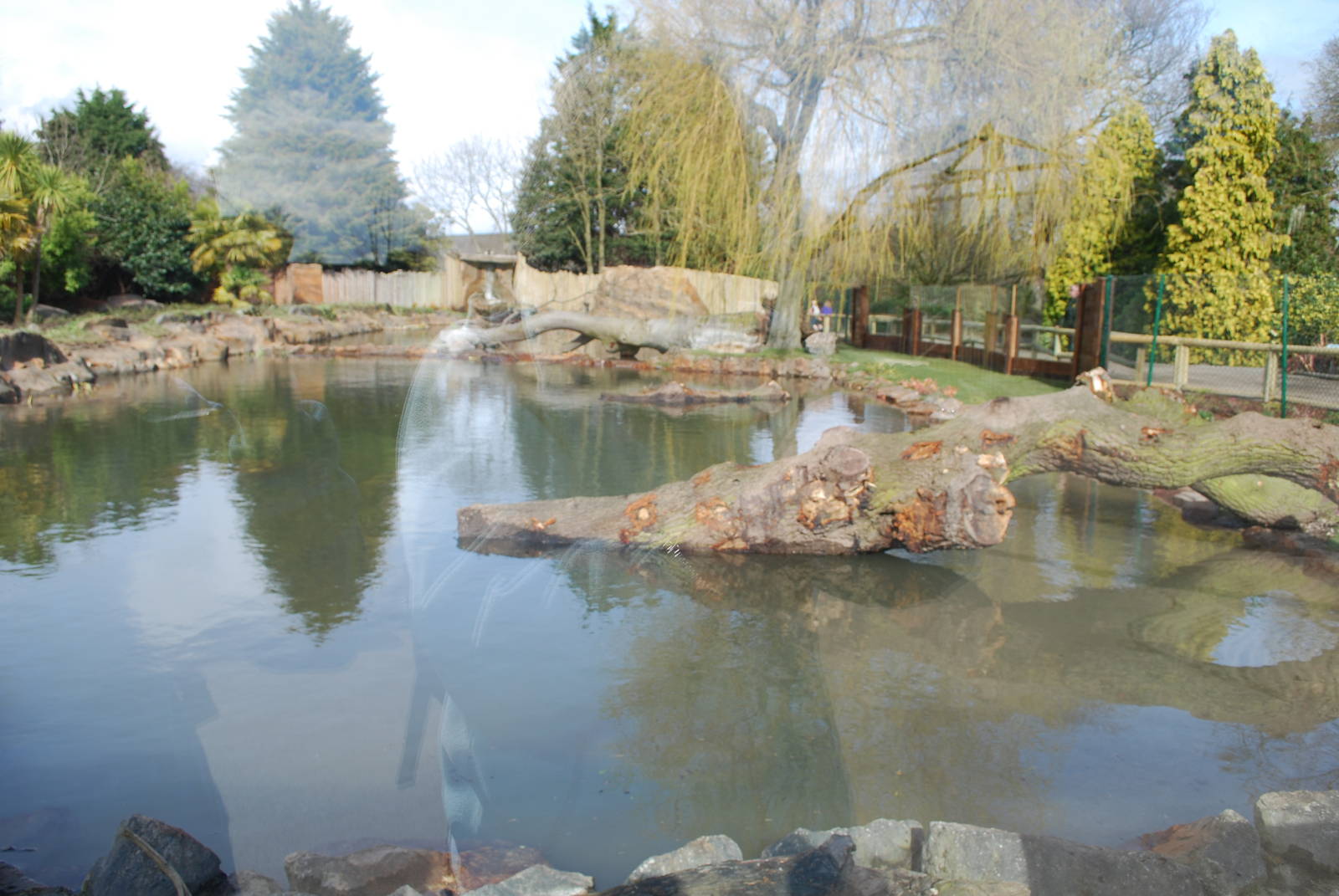 Giant Otter Enclosure