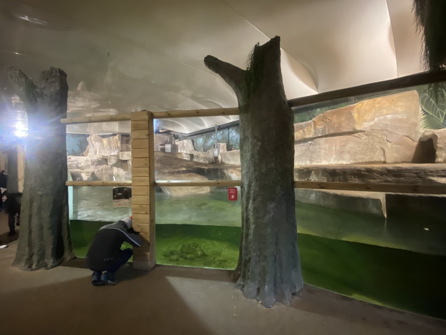 Giant otter exhibit 091224