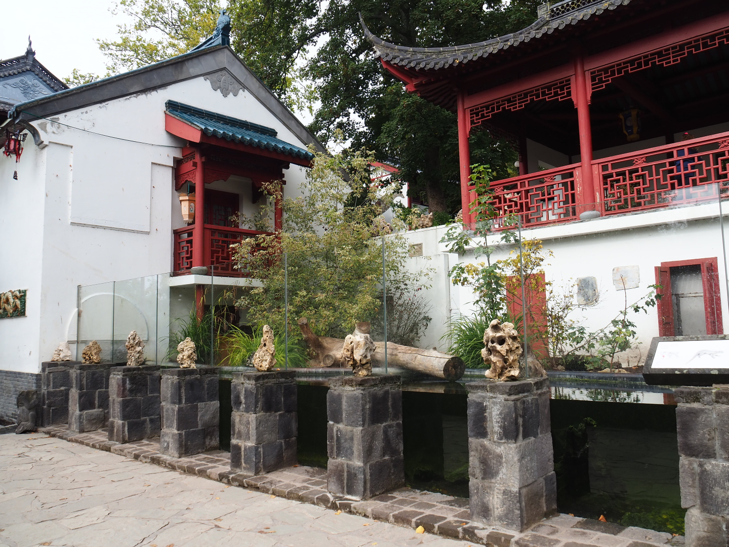 Giant otter exhibit, 2019-10-05