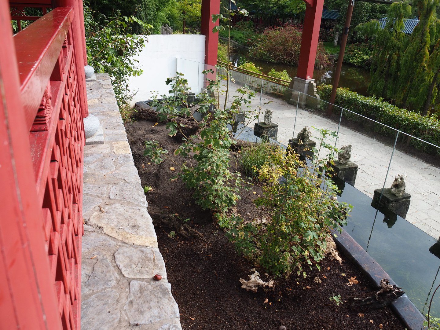 Giant otter exhibit, 2019-10-05