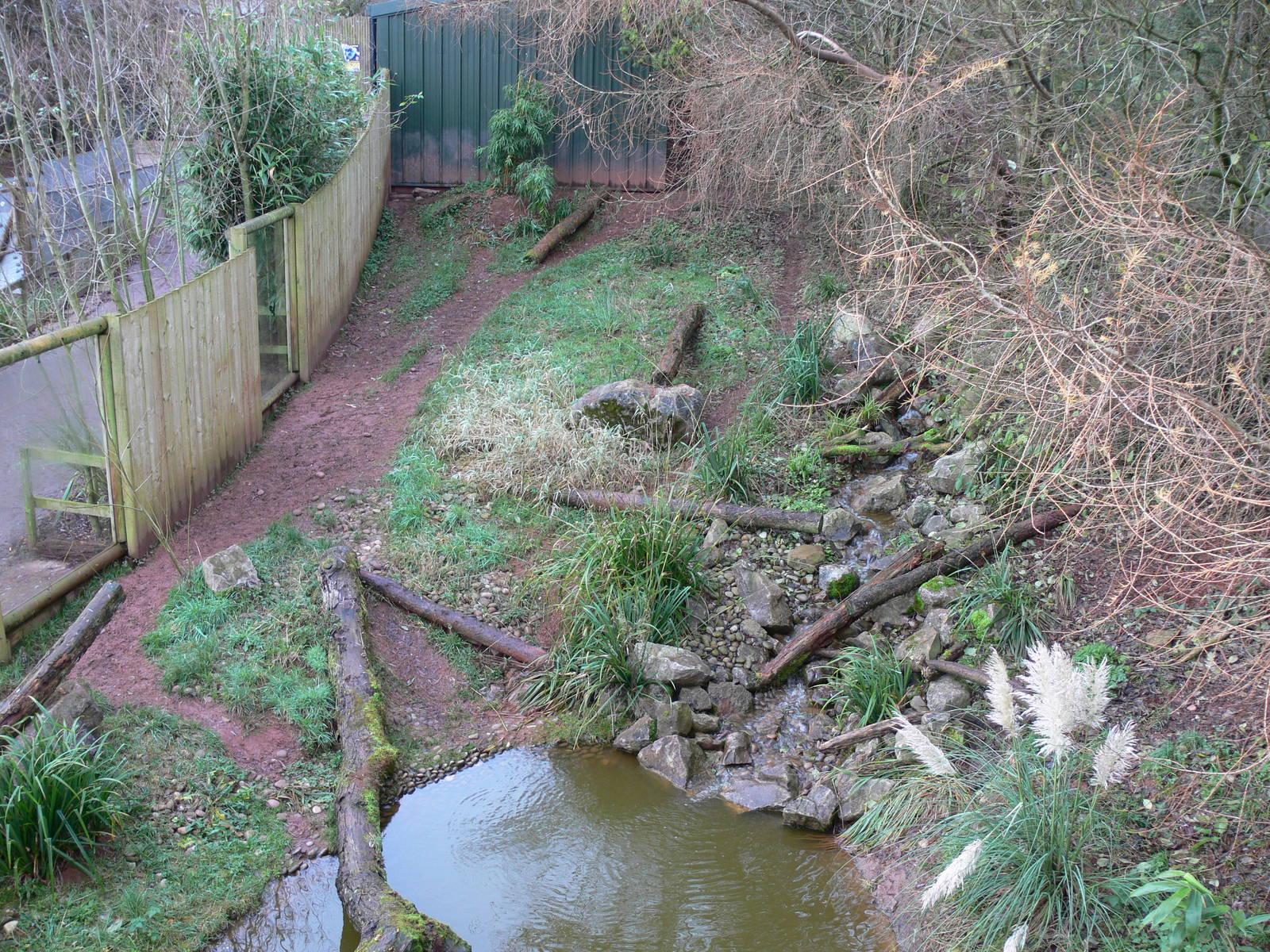 Giant Otter exhibit at South Lakes WAP 24/11/12