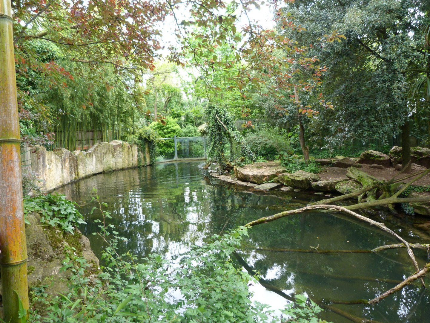 Giant otter exhibit -Bioparc de Doué la Fontaine (2025)