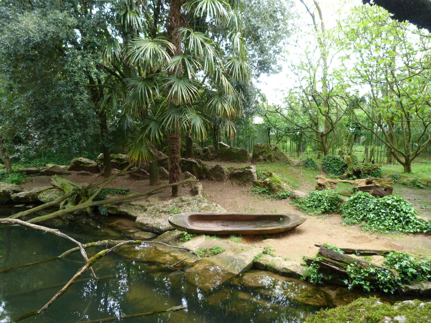 Giant otter exhibit -Bioparc de Doué la Fontaine (2025)
