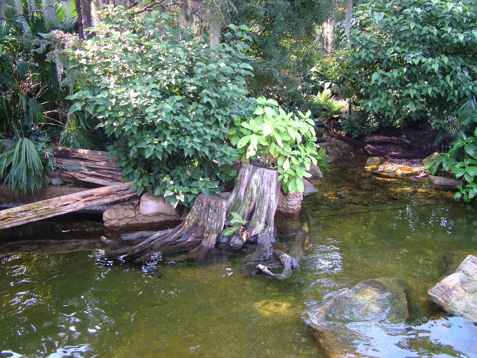 Giant Otter Exhibit - Gondwanaland, Leipzig, 02/09/11