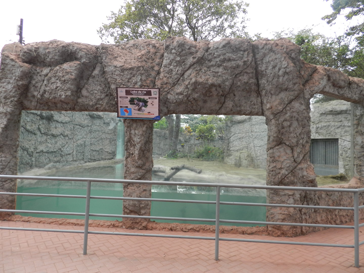 Giant otter exhibit I - Parque de Las Leyendas