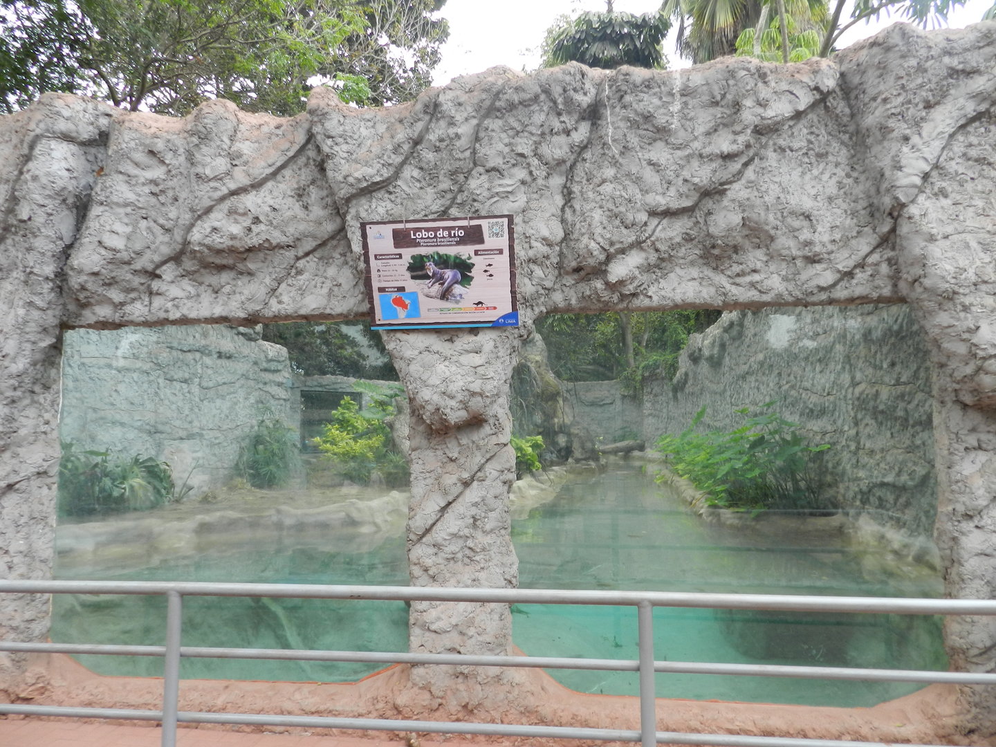 Giant otter exhibit II - Parque de Las Leyendas