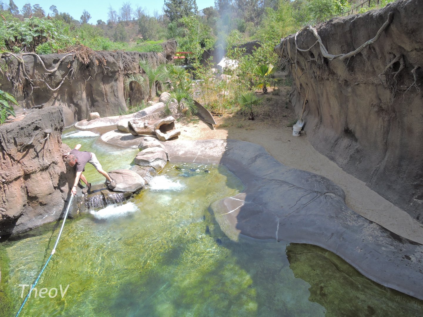 Giant otter exhibit - Rainforest of The Americas [2015]