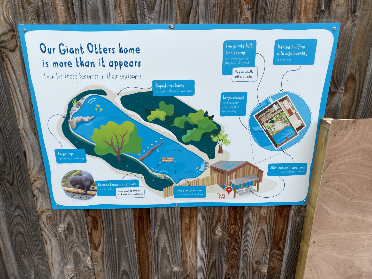 Giant otter exhibit sign 110920