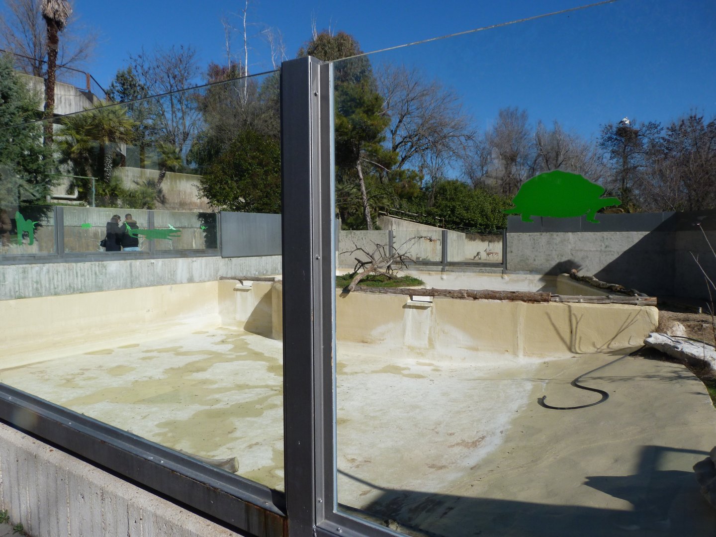 Giant otter exhibit -Zoo Aquarium de Madrid (2025)