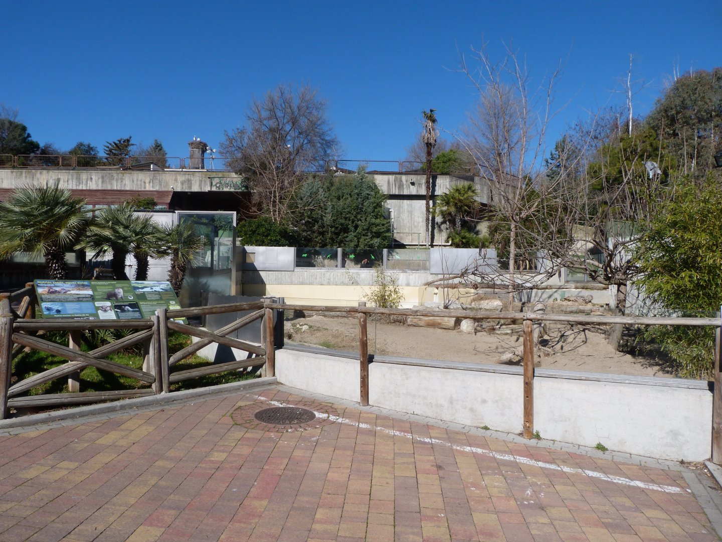 Giant otter exhibit -Zoo Aquarium de Madrid (2025)