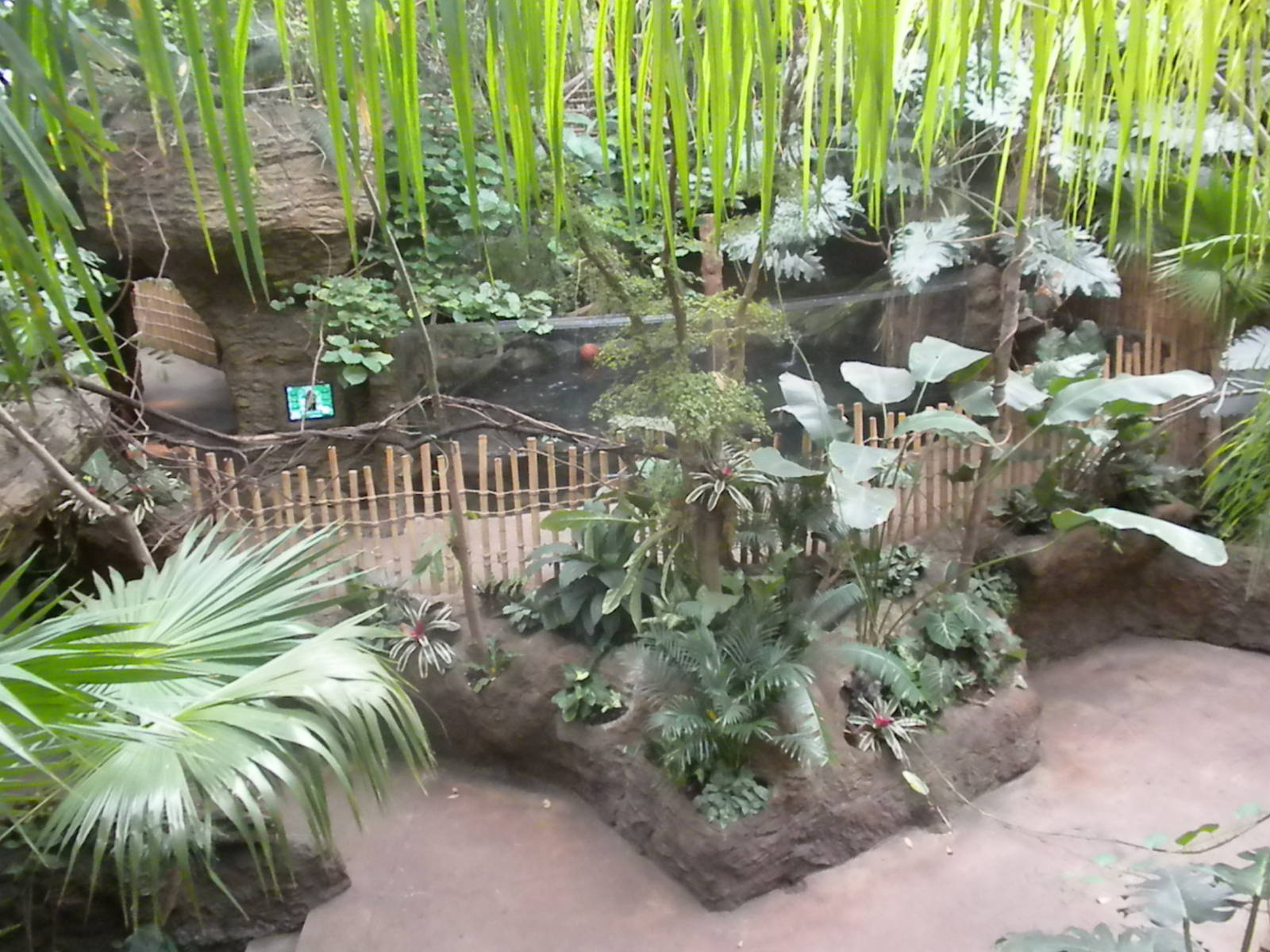 Giant Otter exhibit