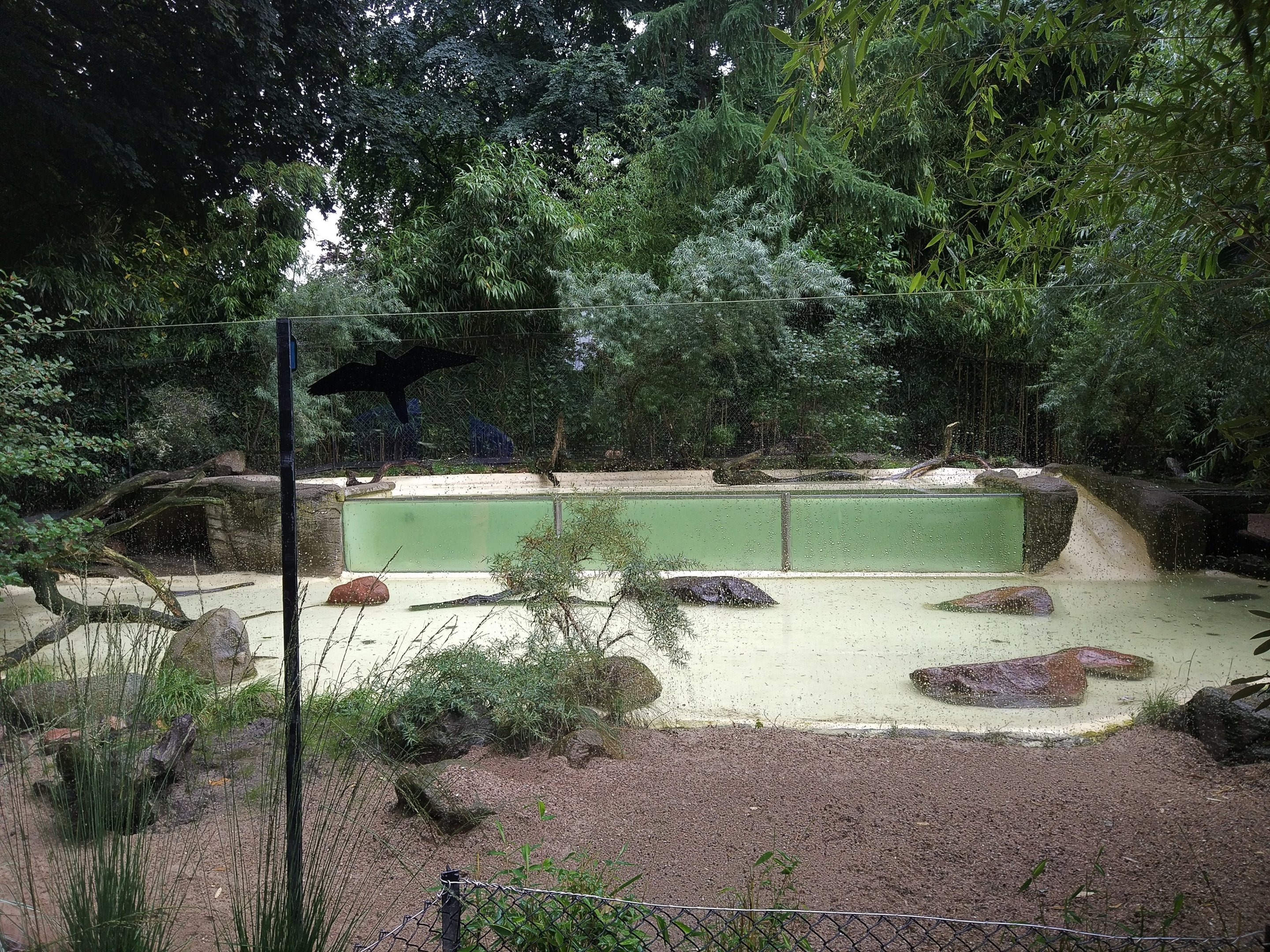Giant Otter Exhibit
