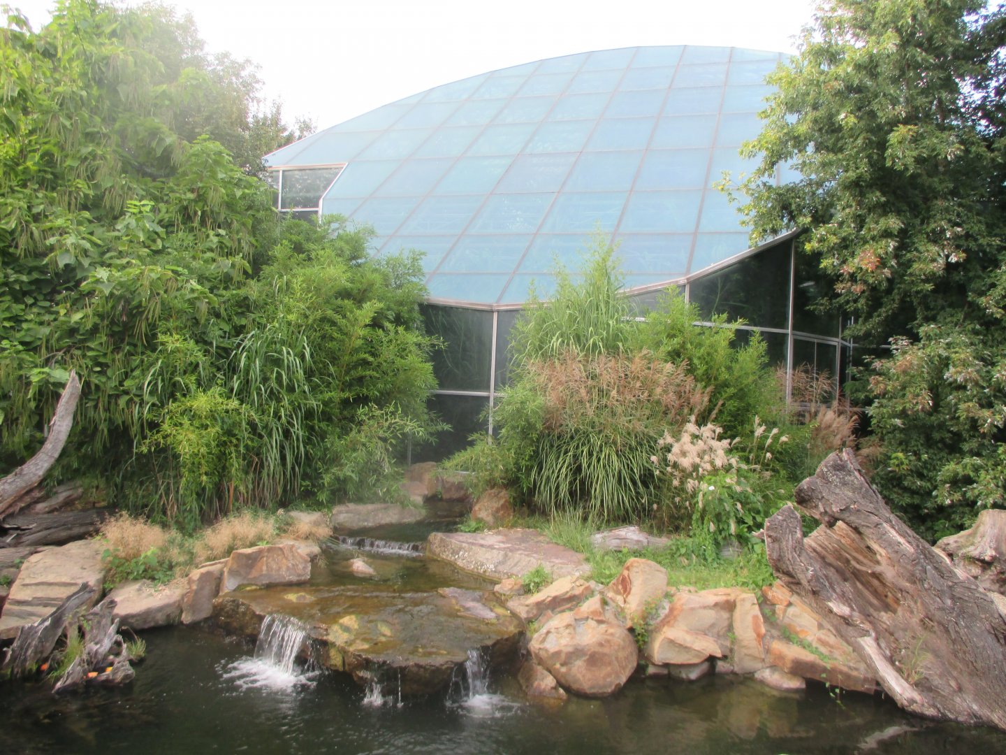 Giant otter exhibit
