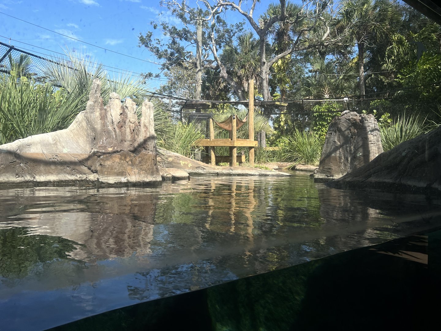 Giant Otter Exhibit (?)