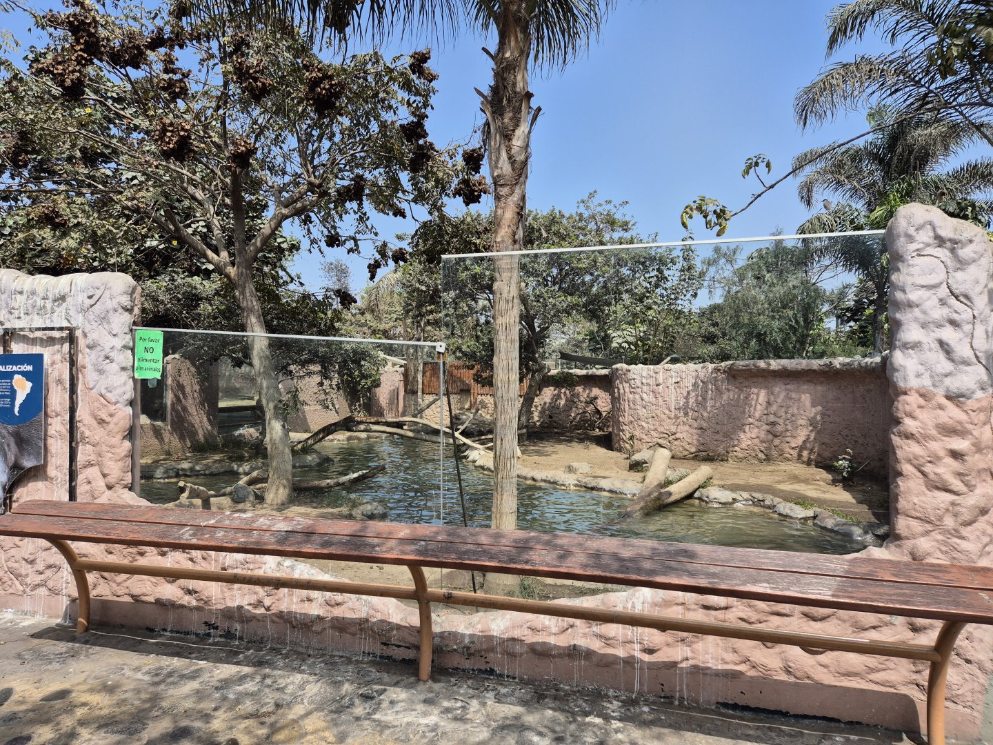 Giant Otter exhibit