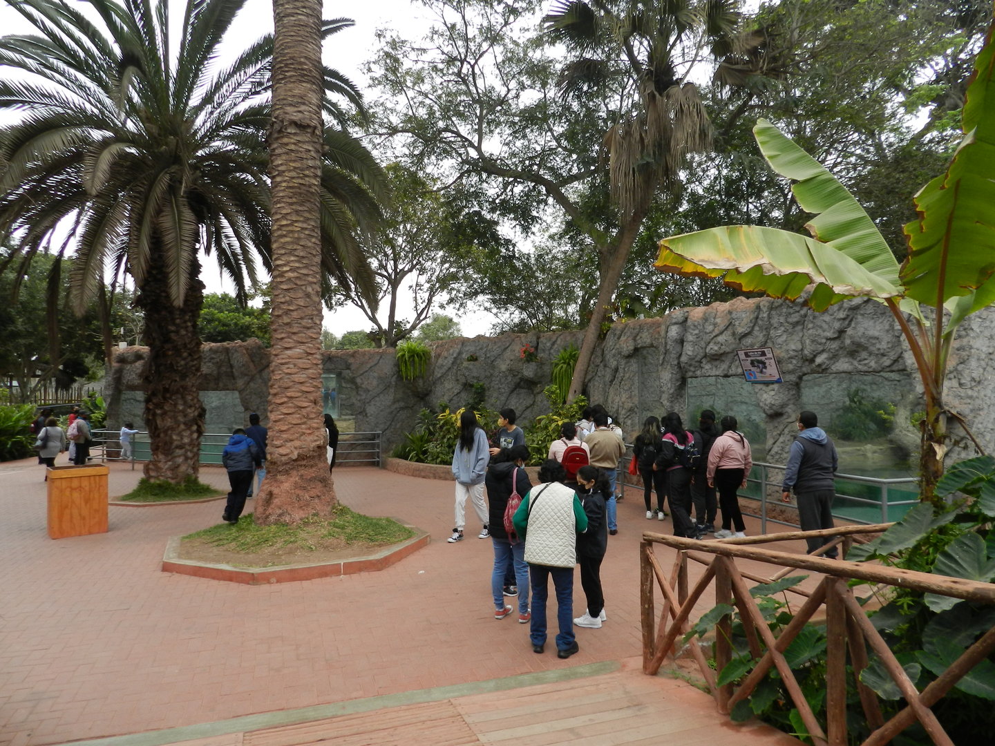 Giant otter exhibits - Parque de Las Leyendas