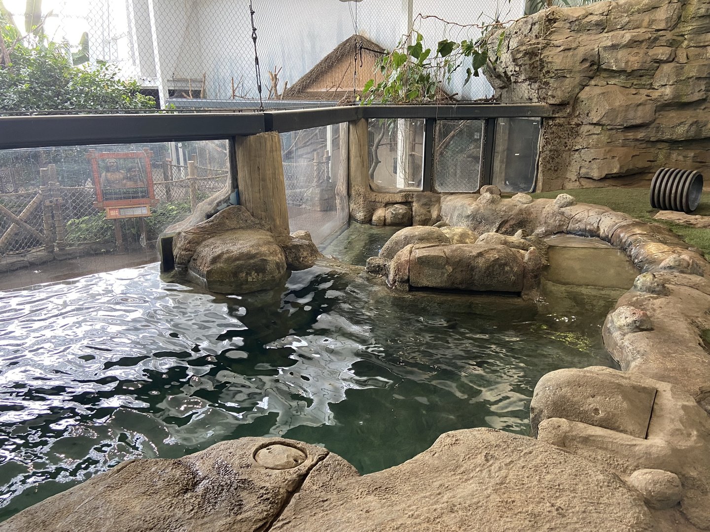 Giant Otter Habitat - Inside View