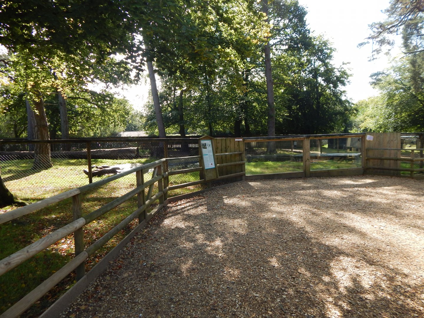 Giant otter habitat no.2 130924