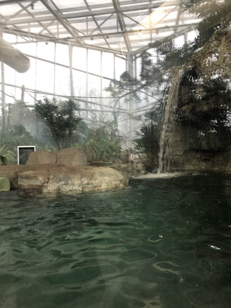 Giant Otter Habitat (Right Side) - Feb, 2020