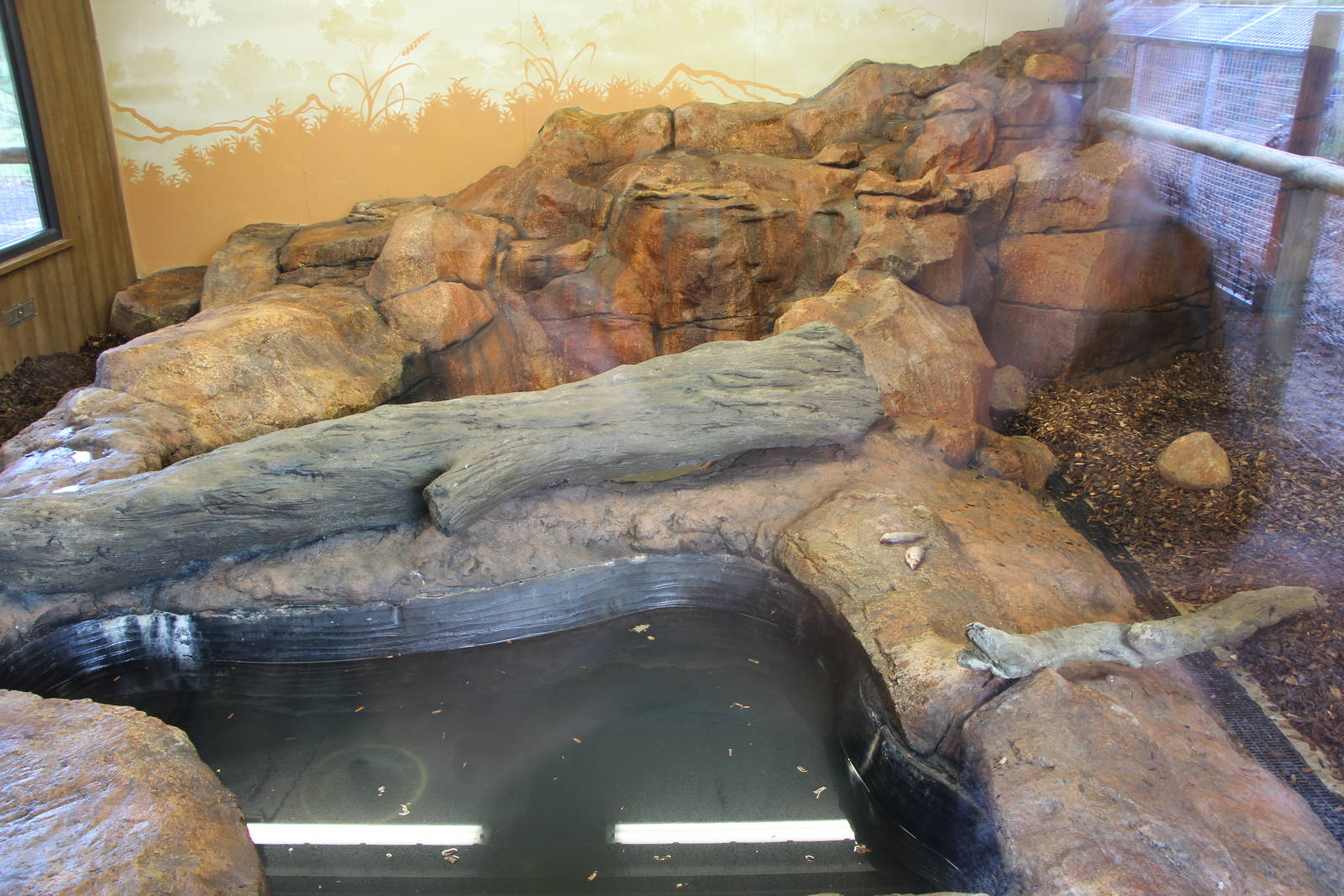 Giant otter indoor accomodation. 31-10-15