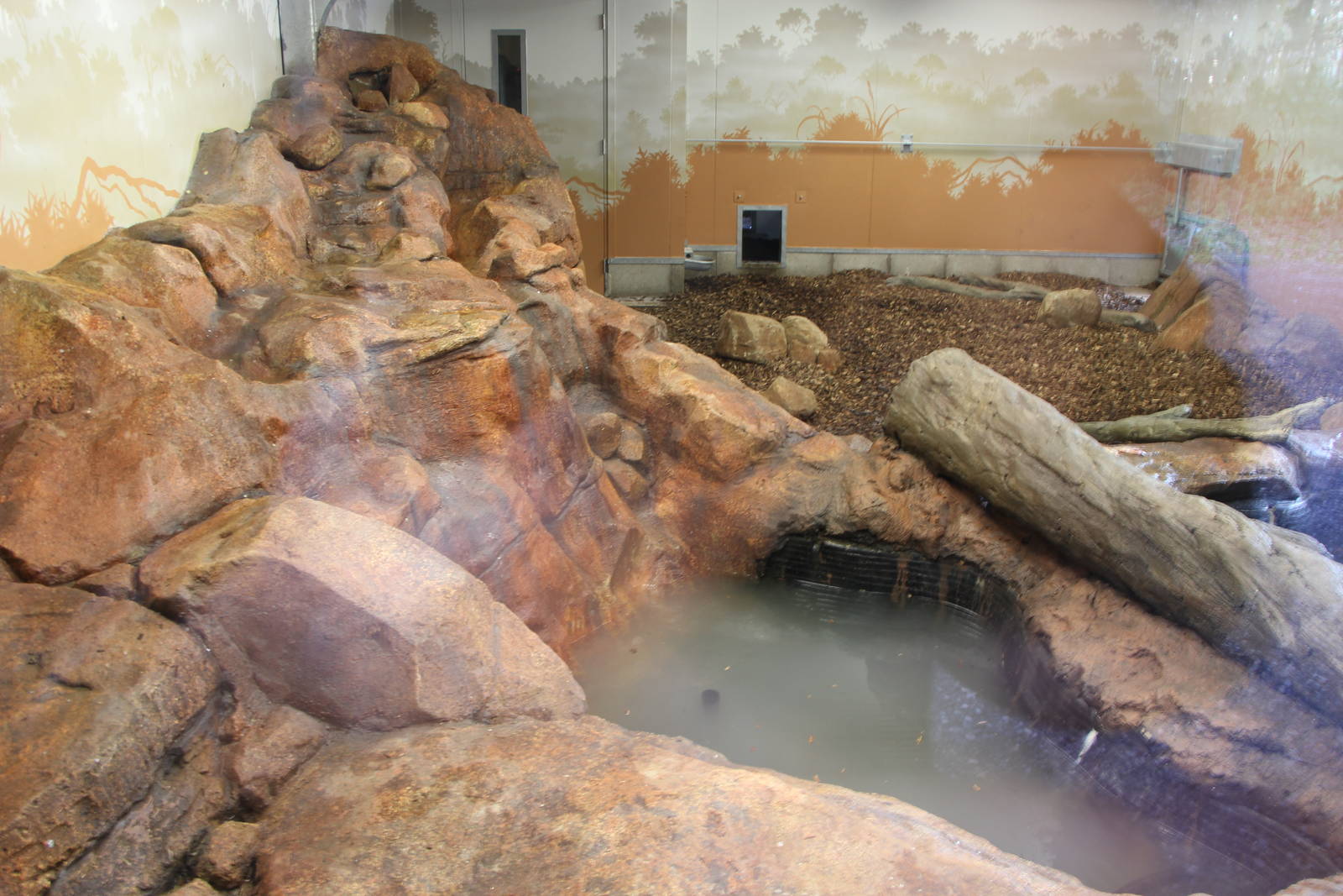 Giant otter indoor accomodation. 31-10-15