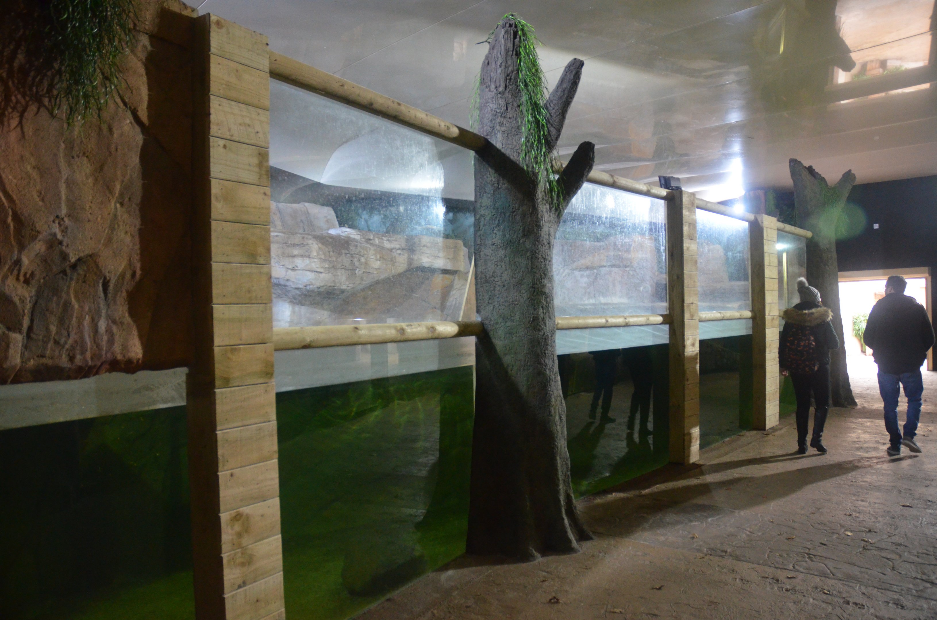 Giant Otter Indoor Enclosure at Longleat, 03/11/19