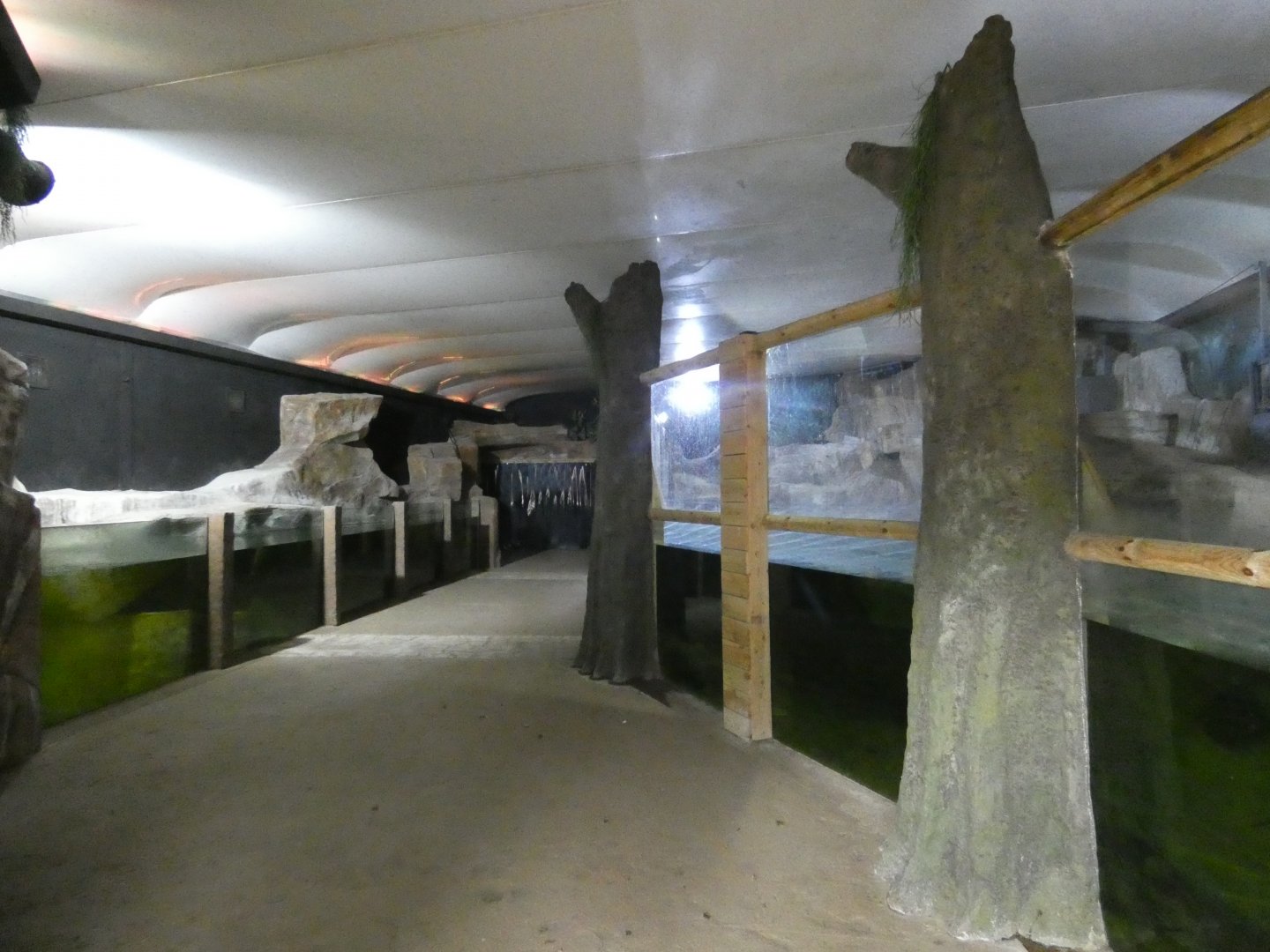 Giant Otter indoor enclosure