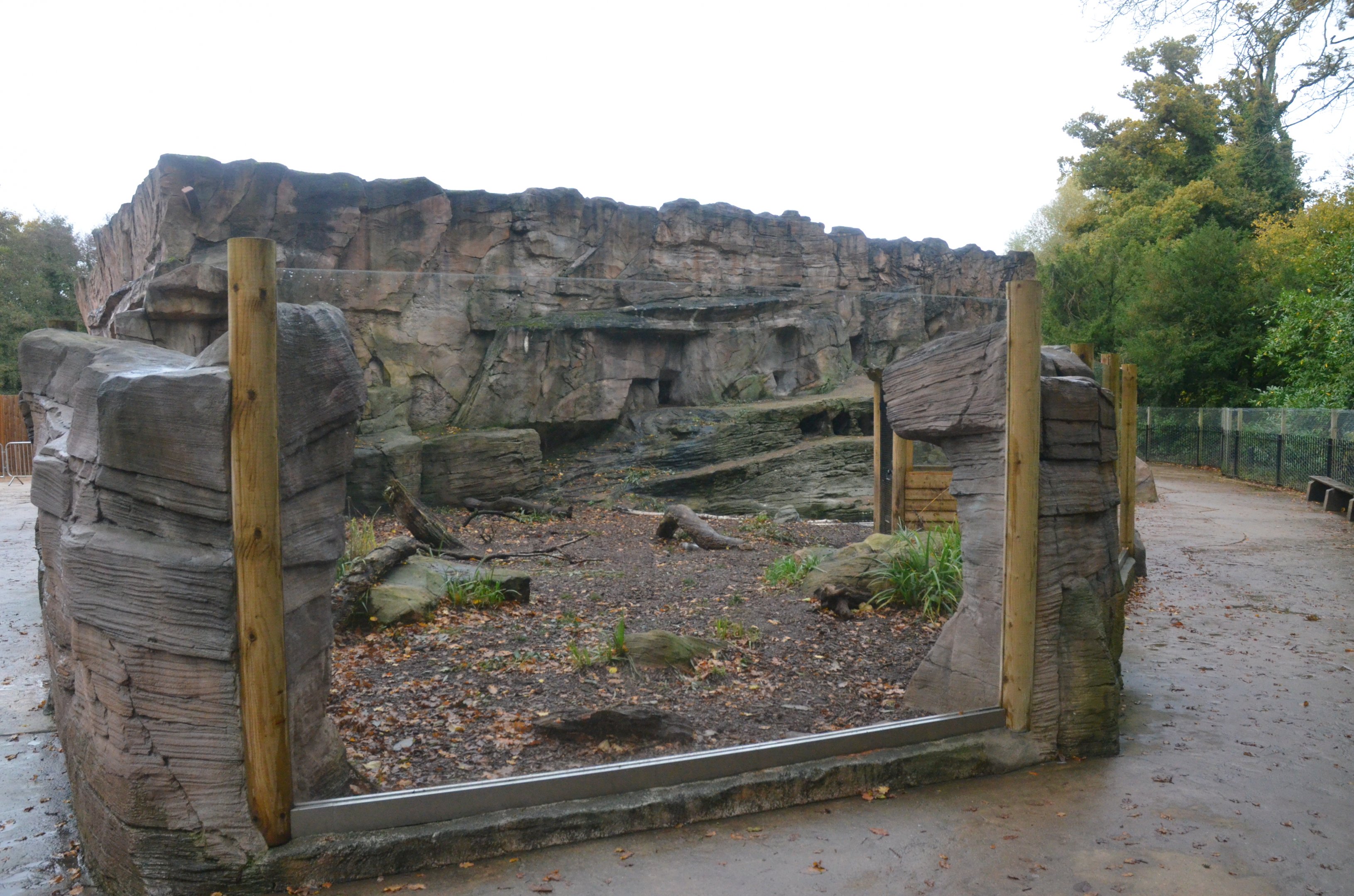 Giant Otter Outdoor Enclosure at Longleat, 03/11/19
