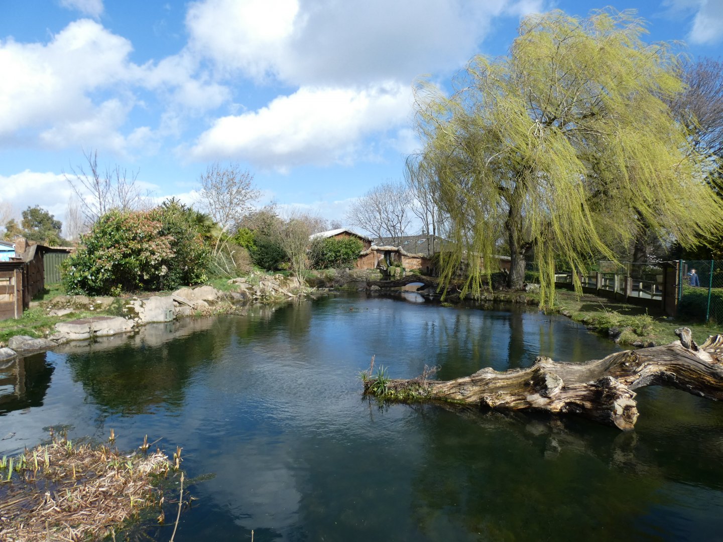 Giant Otter outdoor enclosure