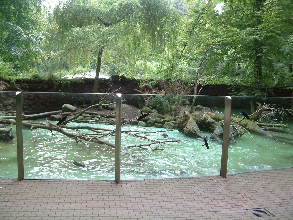 Giant otter outdoor enclosure