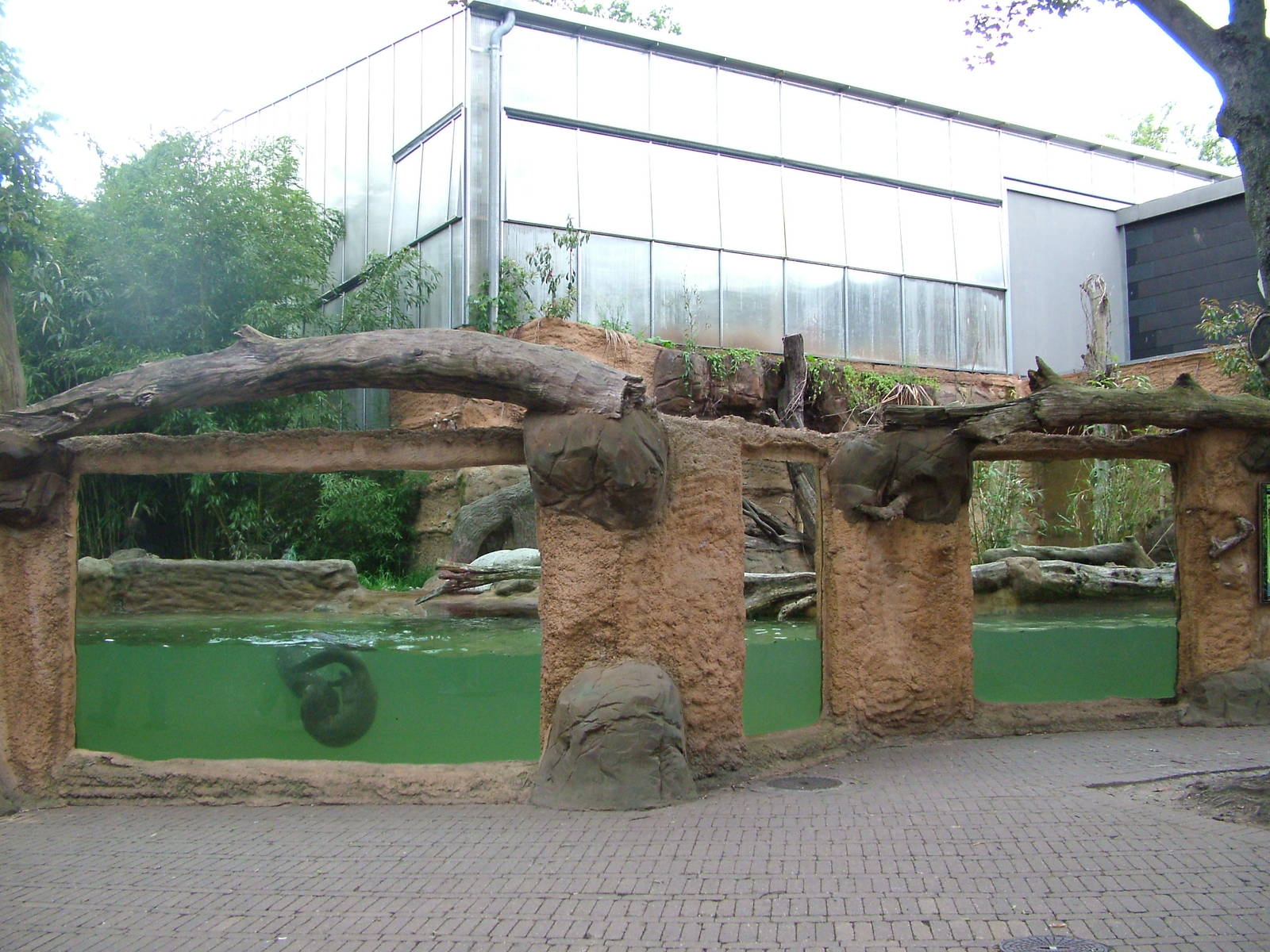 Giant Otter outdoor exhibit at Duisburg 15/05/09