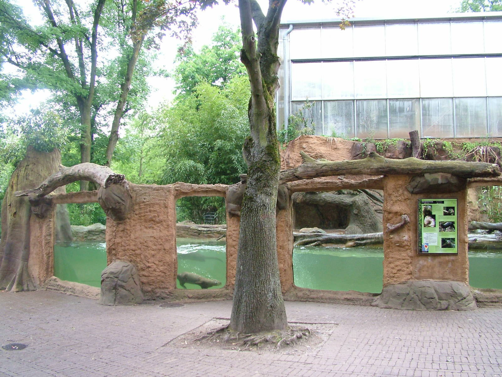 Giant Otter outdoor exhibit at Duisburg 15/05/09
