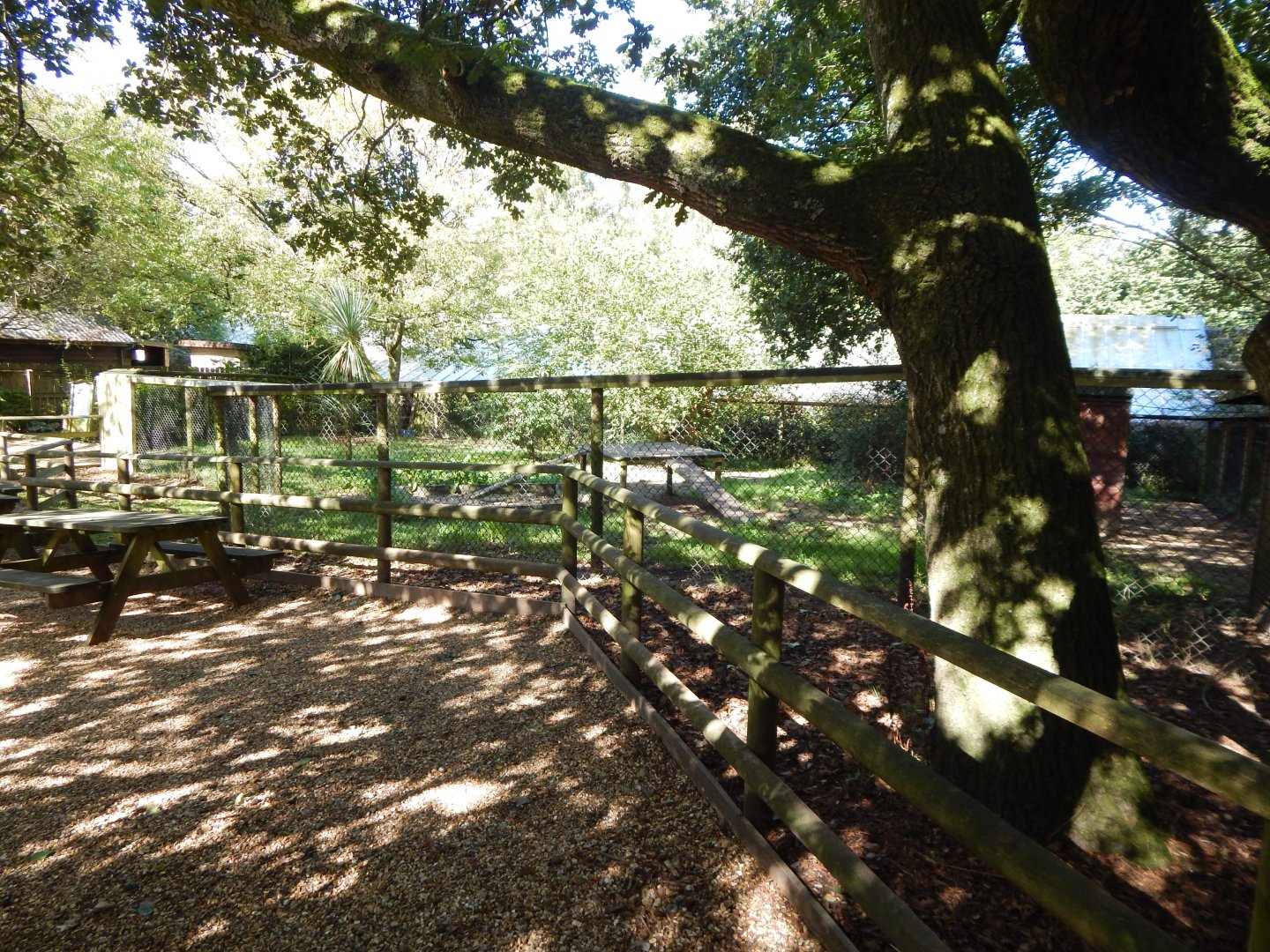 Giant otter outdoor habitat 130924