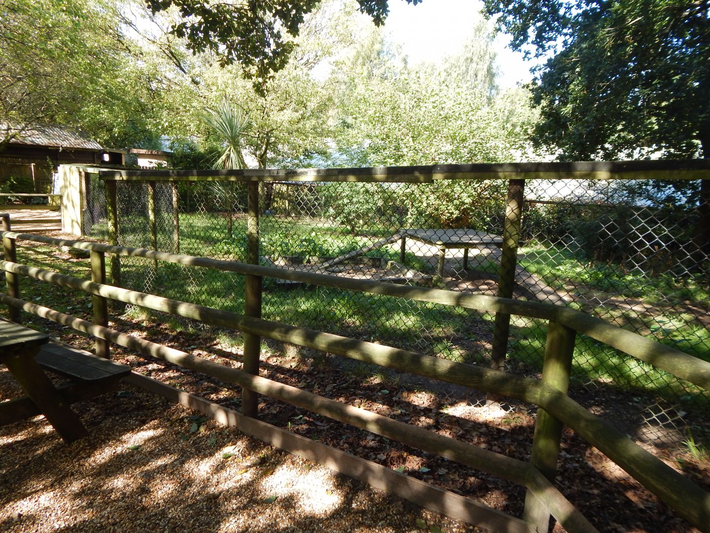 Giant otter outdoor habitat 130924