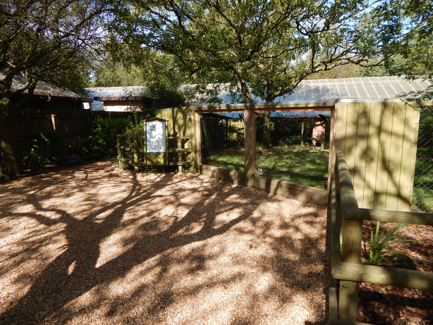 Giant otter outdoor habitat 130924