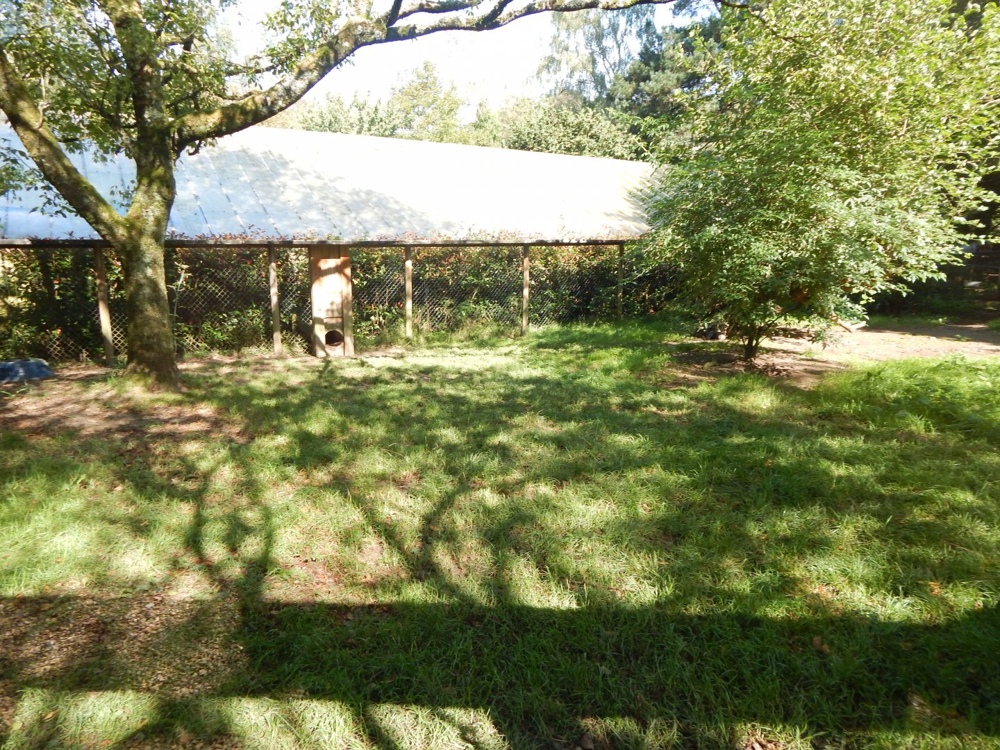 Giant otter outdoor habitat 130924