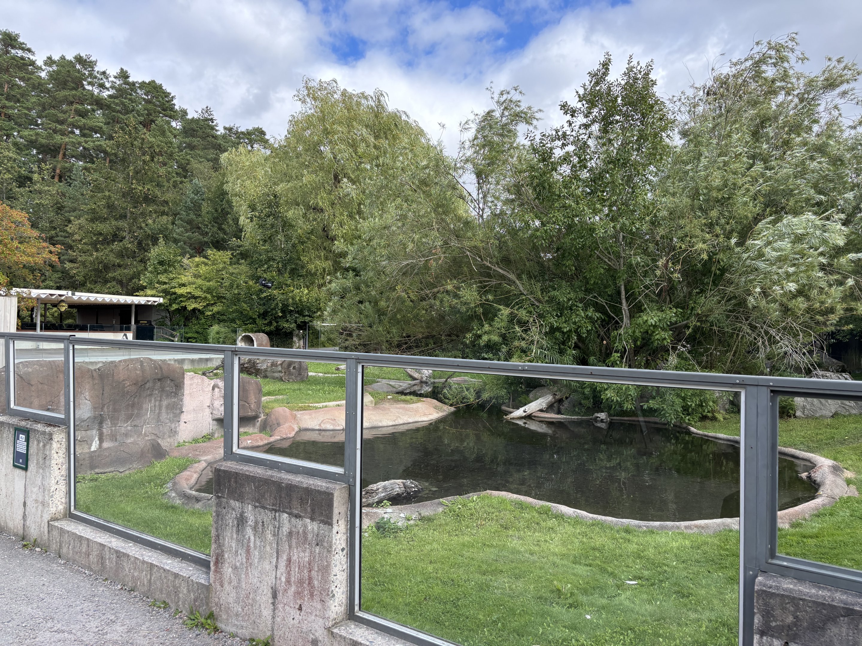 Giant otter outdoors