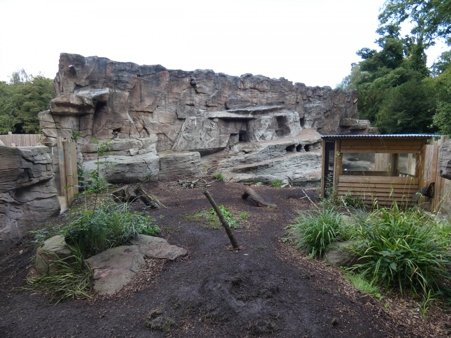 Giant Otter outdor enclosure