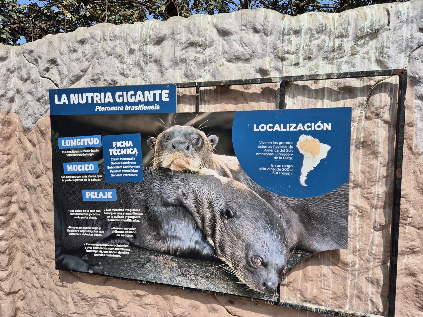 Giant Otter sign