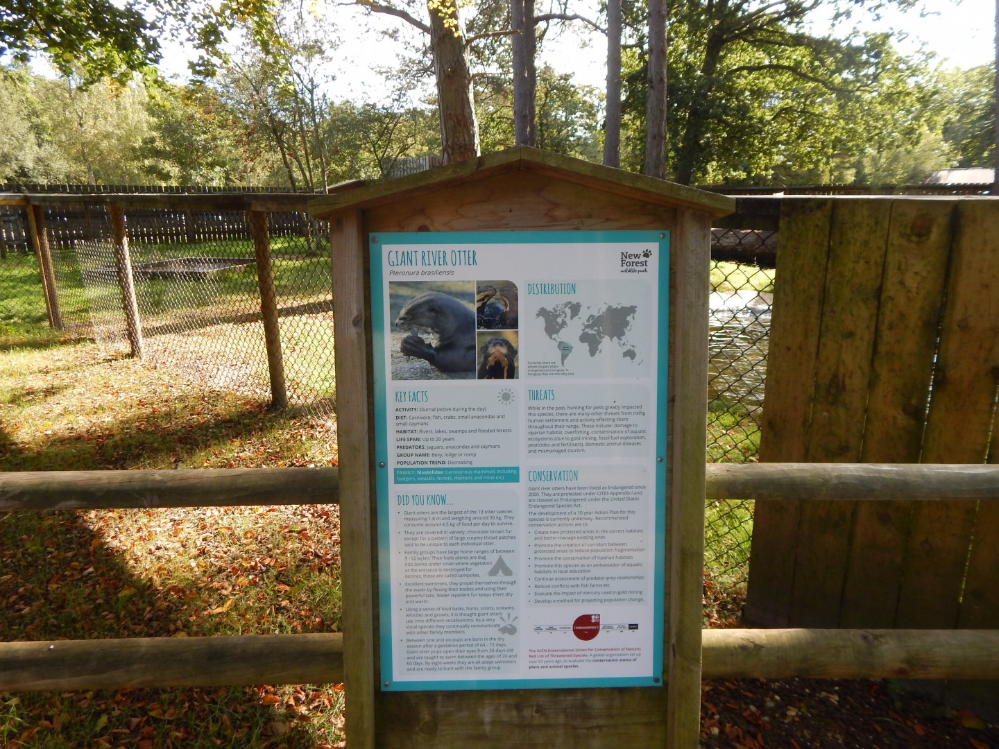 Giant otter signage 130924