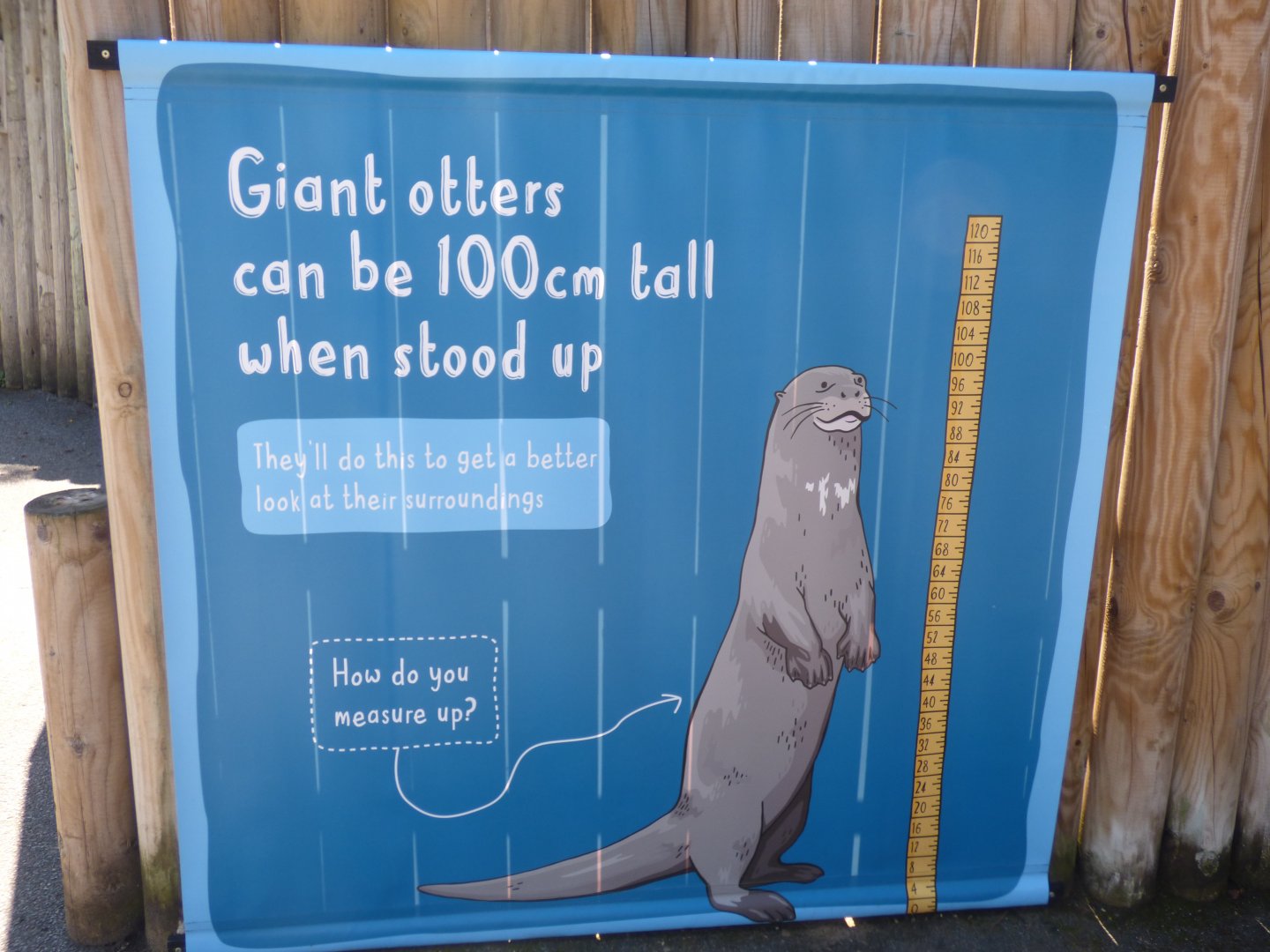 Giant Otter signage