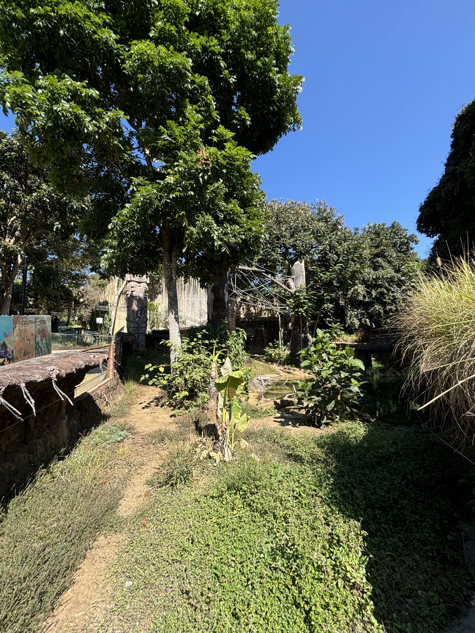 Giant Otter + Tufted Capuchin Exhibits