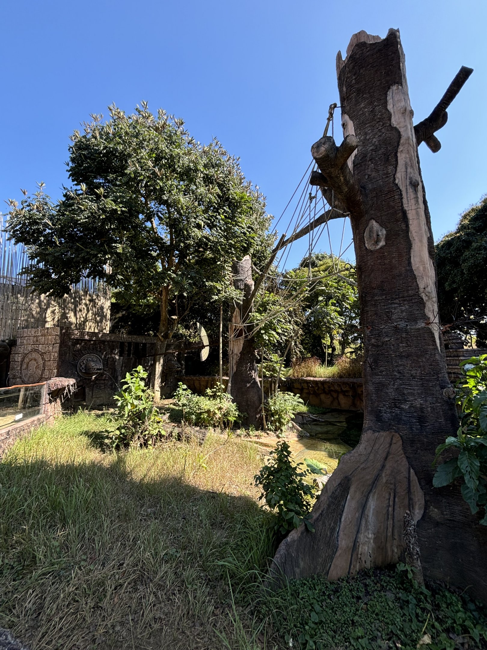 Giant Otter + Tufted Capuchin Exhibits