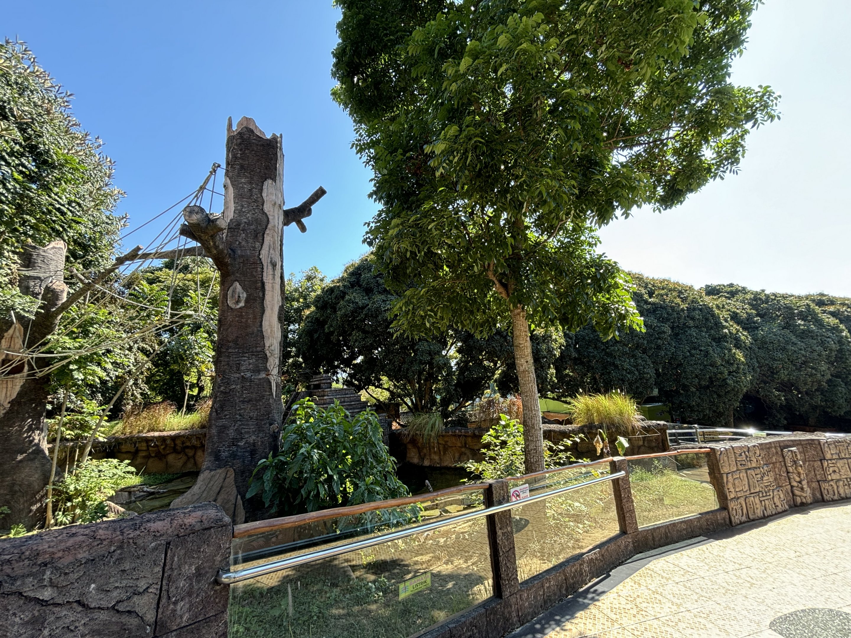 Giant Otter + Tufted Capuchin Exhibits